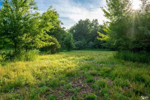 Parcel A Timbers, Carleton, MI 48117