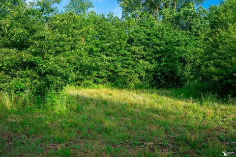 Parcel A Timbers, Carleton, MI 48117 photo 16