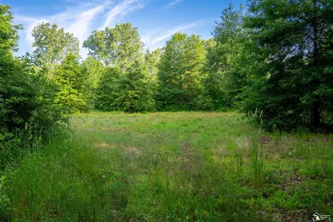 Parcel B Timbers, Carleton, MI 48117