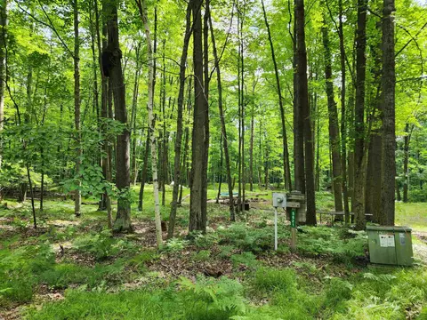 lot961 Clover, Farwell, MI 48622
