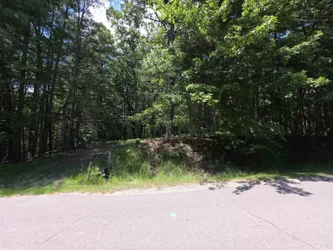 4971 Queens, Gladwin, MI 48624 photo 3