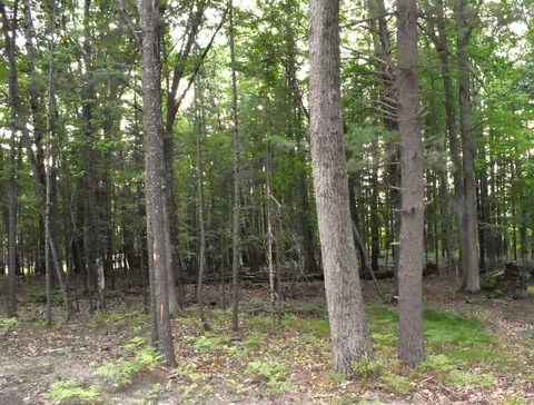 4971 Queens, Gladwin, MI 48624 photo 7