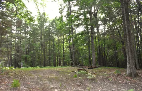 4971 Queens, Gladwin, MI 48624 photo 8