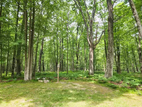 Exterior - 5240 Oak, Harrison, MI 48625 photo 17 of 18