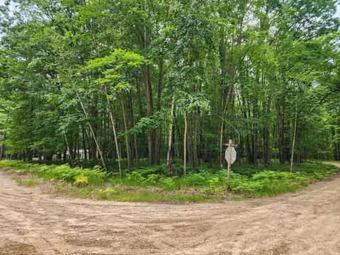 Exterior - 5240 Oak, Harrison, MI 48625 photo 18 of 18