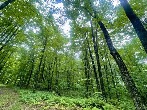 40 Acres N Fordville Rd, Hardwood, MI 49880