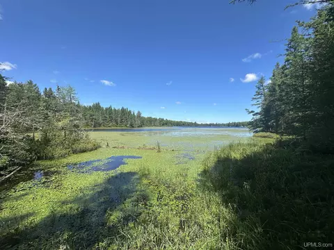 7619 Fir, Republic, MI 49879