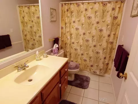 Bath - 1612 Hampton, Gladwin, MI 48624 photo 3 of 3