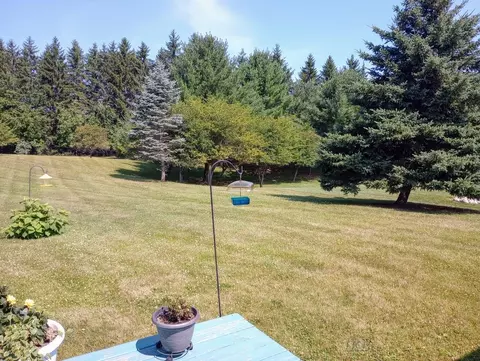 Exterior - 1612 Hampton, Gladwin, MI 48624 photo 8 of 8
