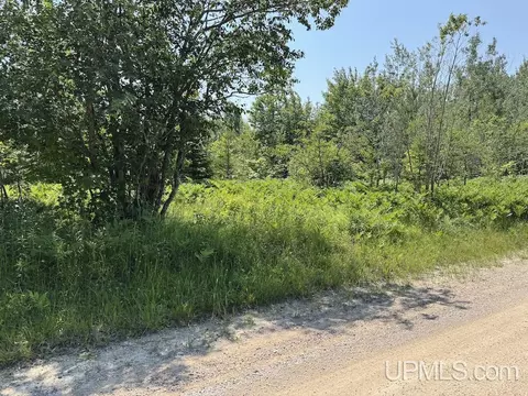 tbd 10 Acres Webb, Grand Marais, MI 49839