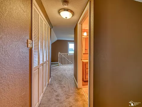 2461 Maple, Ida, MI 48140 photo 24