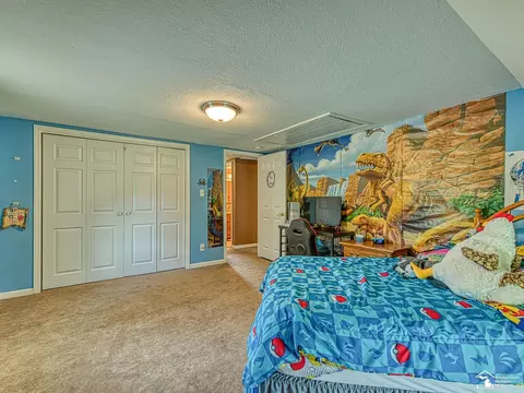 2461 Maple, Ida, MI 48140 photo 26