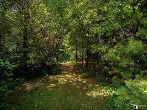 2461 Maple, Ida, MI 48140 photo 46