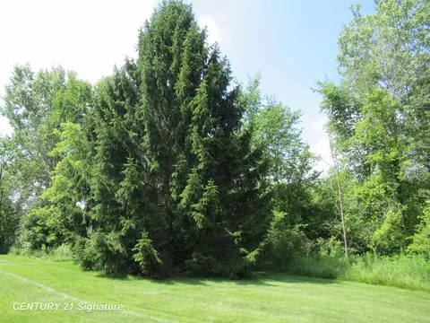 7228 Northfield, Flushing, MI 48433 photo 28