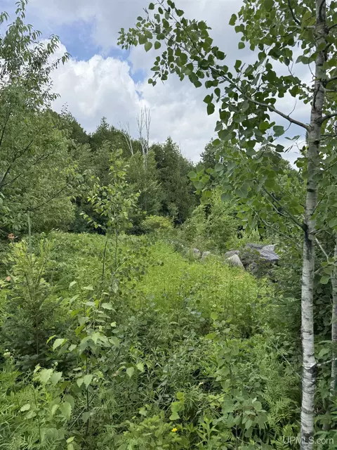 tbd S S Brk, Michigamme, MI 49861