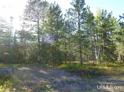 51734 Rice Lk, Lake Linden, MI 49945