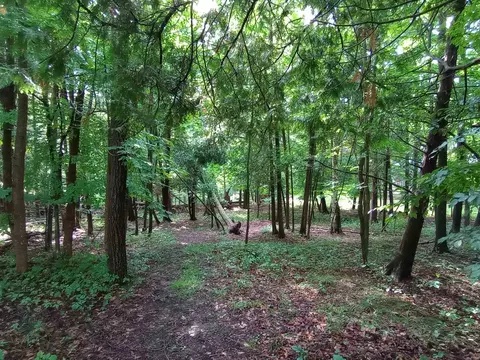 lot47 Linksview, Gladwin, MI 48624