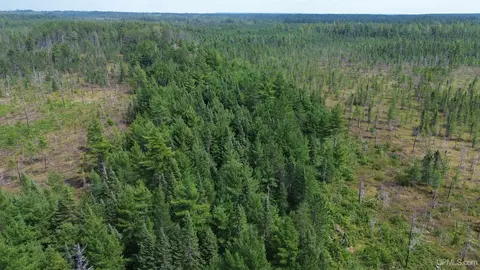 9040 Bone Lk #NO LEGAL INSURABLE ROAD ACCE, Newberry, MI 49868