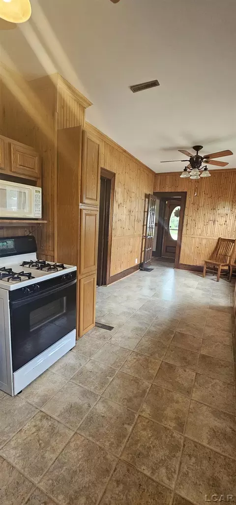 Other - 298 E Chicago, Britton, MI 49229 photo 5 of 6