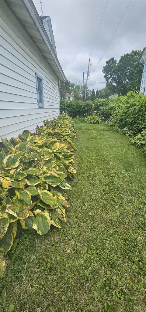 Exterior - 298 E Chicago, Britton, MI 49229 photo 5 of 6