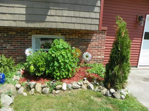 Exterior - 489 Broad, Harrison, MI 48625 photo 10 of 13
