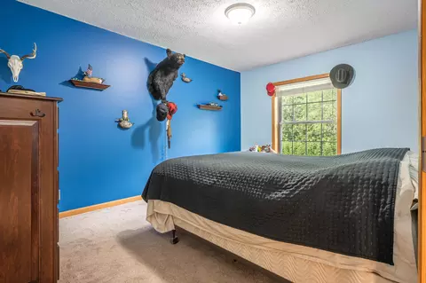 Bedroom - 4545 Willford, Gladwin, MI 48624 photo 1 of 6