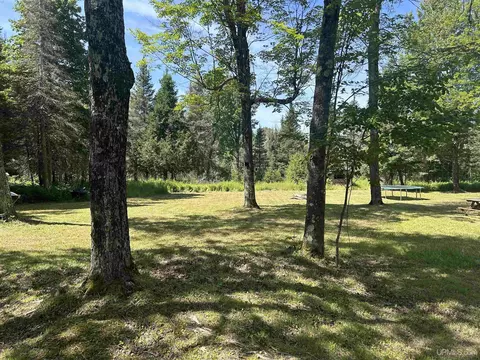 tbd Beaver, Perkins, MI 49872 photo 3