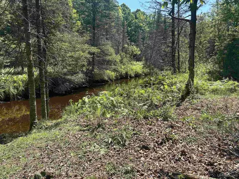 tbd Beaver, Perkins, MI 49872