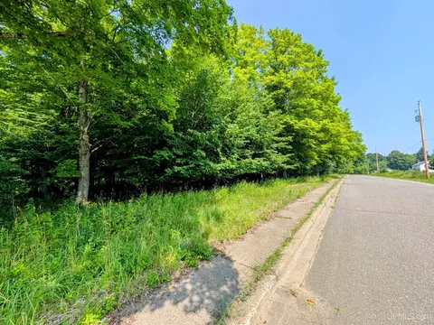 4 45 Acres Allen, Iron River, MI 49935