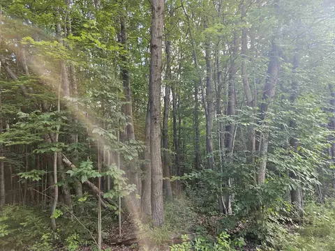 Nhn E Clarence, Harrison, MI 48625 photo 5