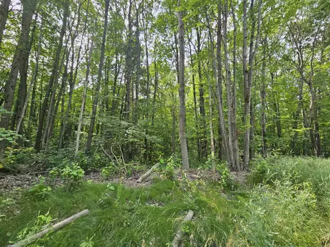 Nhn E Clarence, Harrison, MI 48625 photo 3