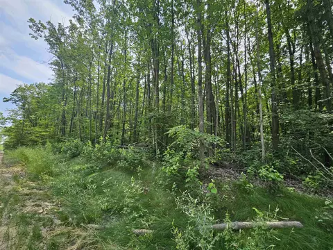 Nhn E Clarence, Harrison, MI 48625 photo 4