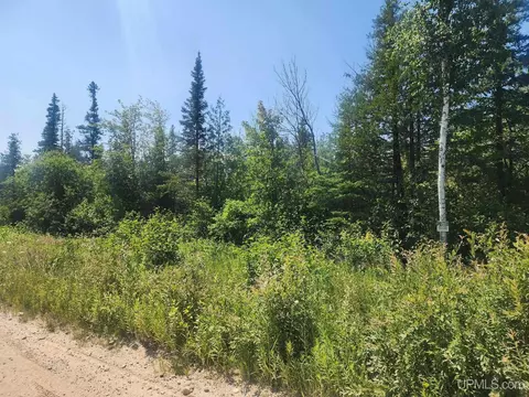 80 Acres Cr 415, Mcmillan, MI 49853