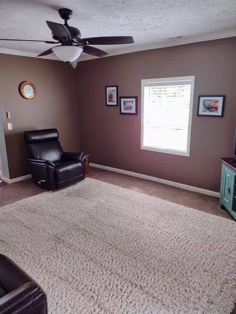 607 E Riverside, Williamston, MI 48895 photo 10