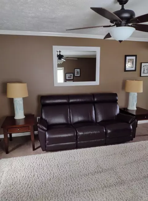 607 E Riverside, Williamston, MI 48895 photo 11