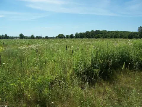 lot B Masters Rd, Memphis, MI 48041