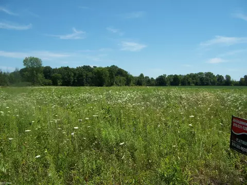 lot E Calvin Rd, Memphis, MI 48041 photo 2