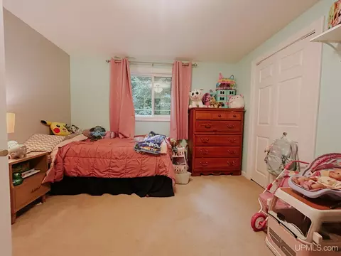 e12270 Percy Road, Shingleton, MI 49884 photo 14