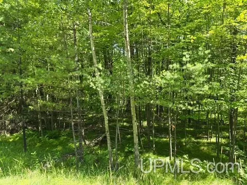 tbd Quinnesec Lake Antoine, Iron Mountain, MI 49801