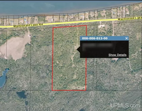 28 95 Acre County Road 432, Gulliver, MI 49840