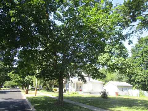 204 Budlong, Adrian, MI 49221 photo 2