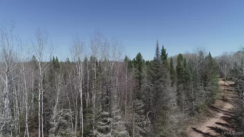 240 A Off Helen Lk, Republic, MI 49879