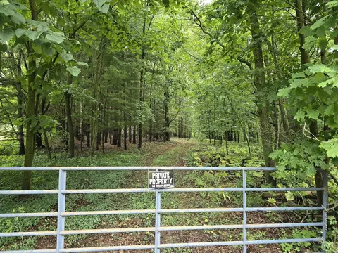 Vl Lehring Rd, Burns, MI 48429