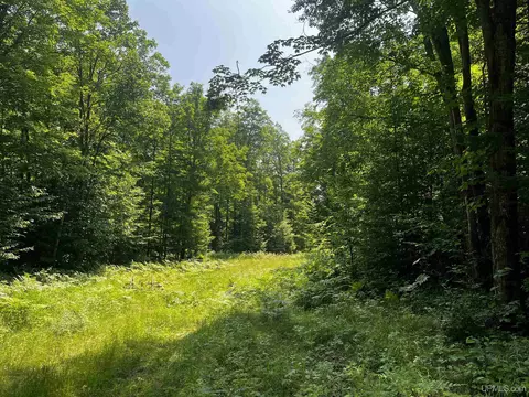 10 Acres Brown Deer, Big Bay, MI 49808