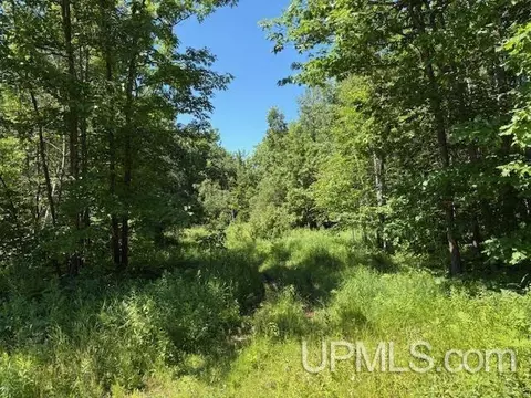 tbd Sartoris, Bessemer, MI 49911