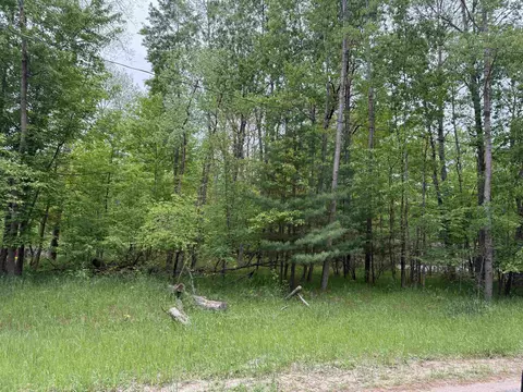 0 Pratt Lk, Gladwin, MI 48624