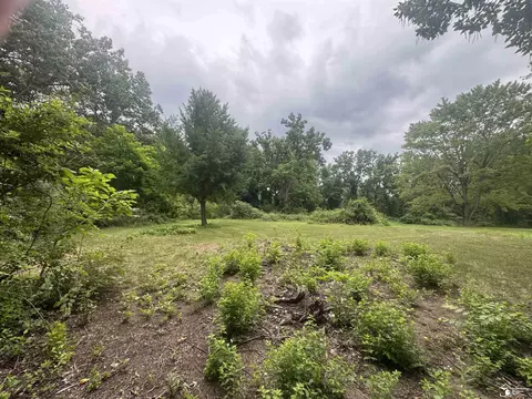9750 Douglas, Temperance, MI 48182 photo 3
