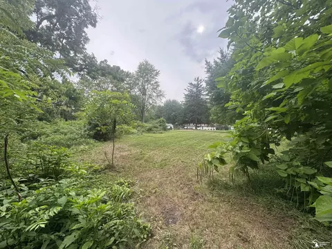 9750 Douglas, Temperance, MI 48182 photo 6