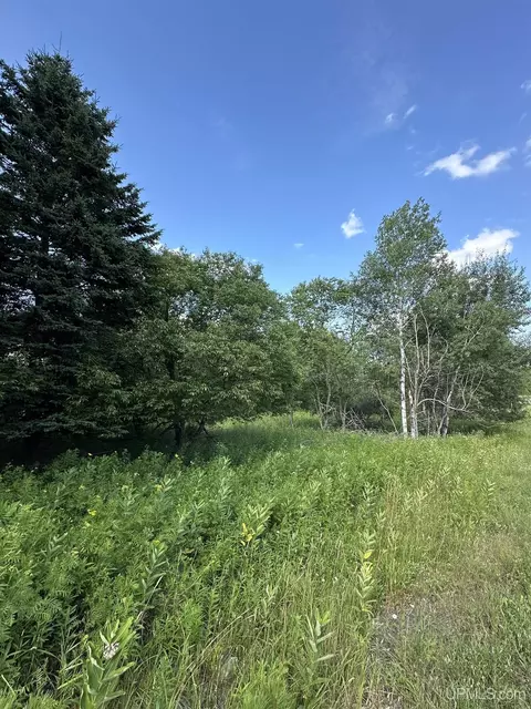 tbd Blossom, Iron River, MI 49935