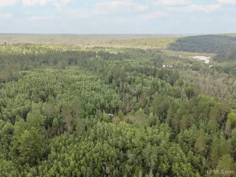 Other - N10175 Co 581, Ralph, MI 49877 photo 5 of 5